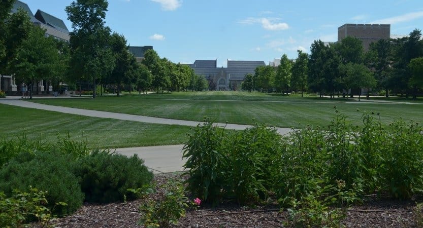 Grassy Field in Notre Dame