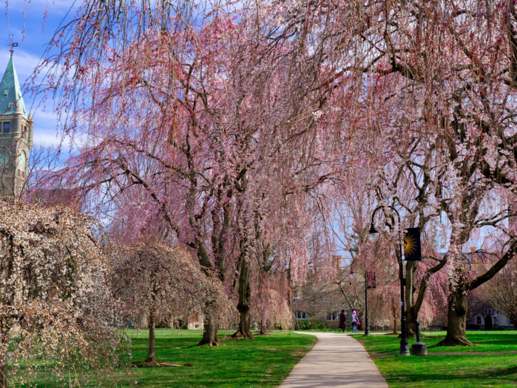 Bryn Mawr College