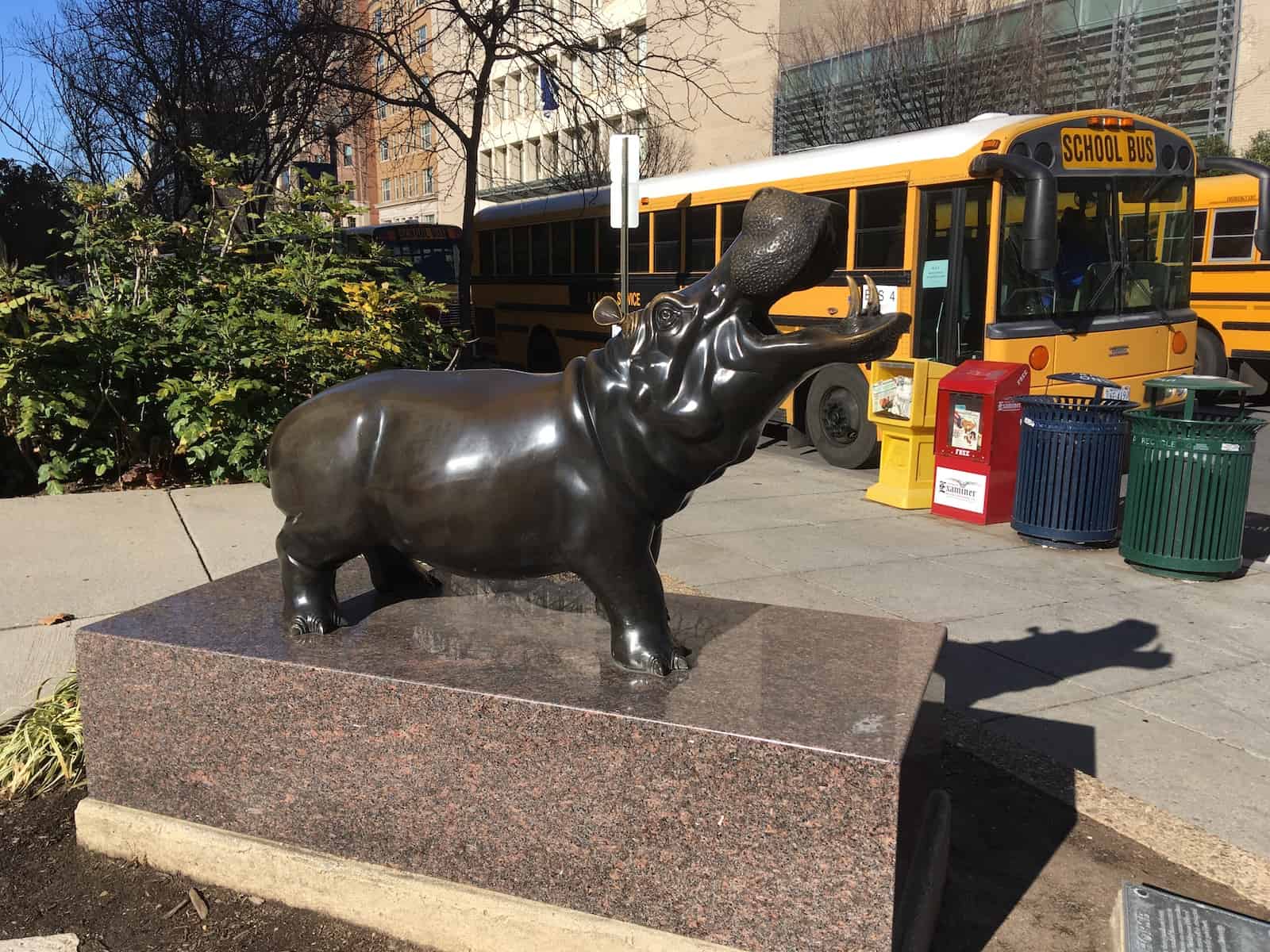 George Washington University Hippo