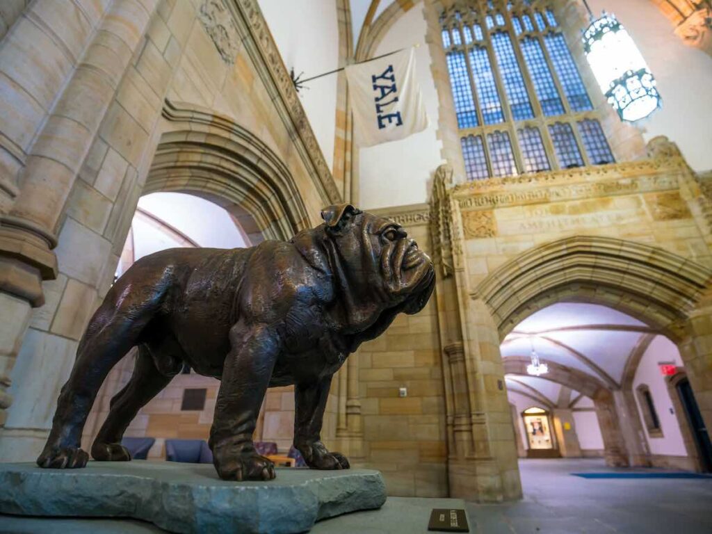 Handsom Dan, Yale mascot