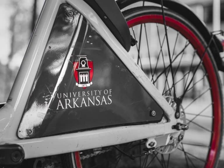 Is the University of Arkansas a Good School for You?