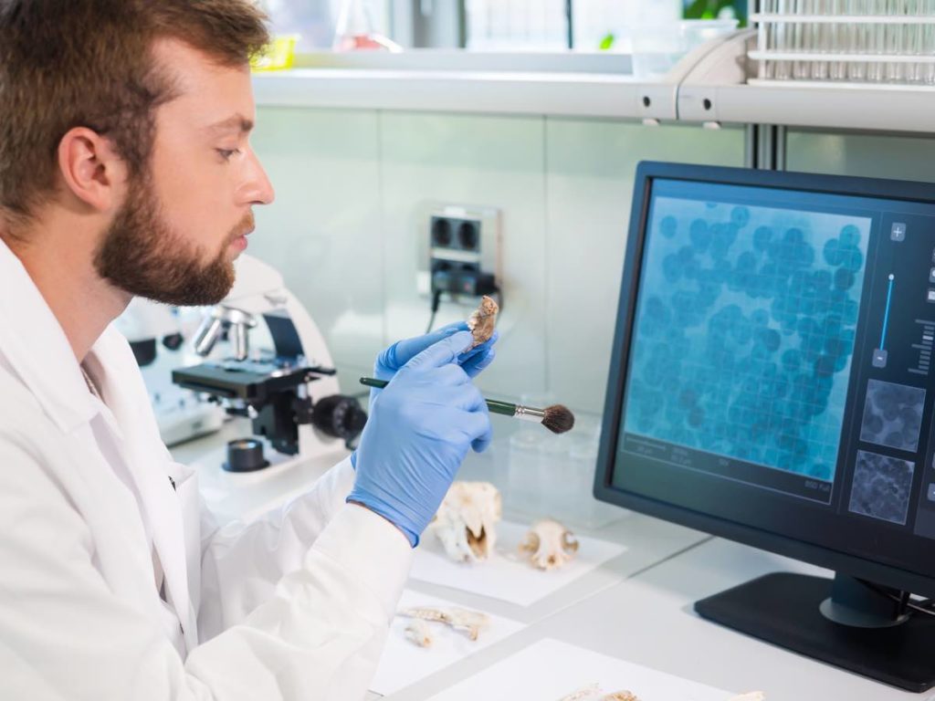 archaeologist in lab