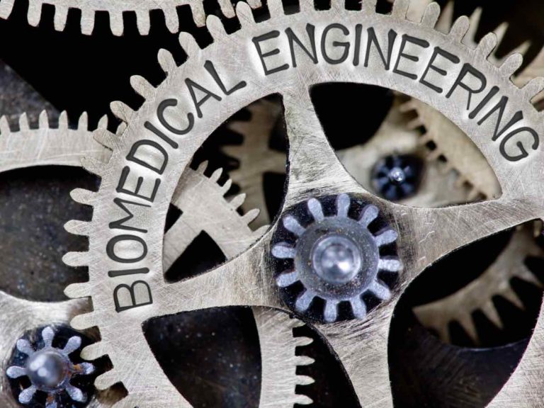 6 Facts About Biomedical Engineering Degree