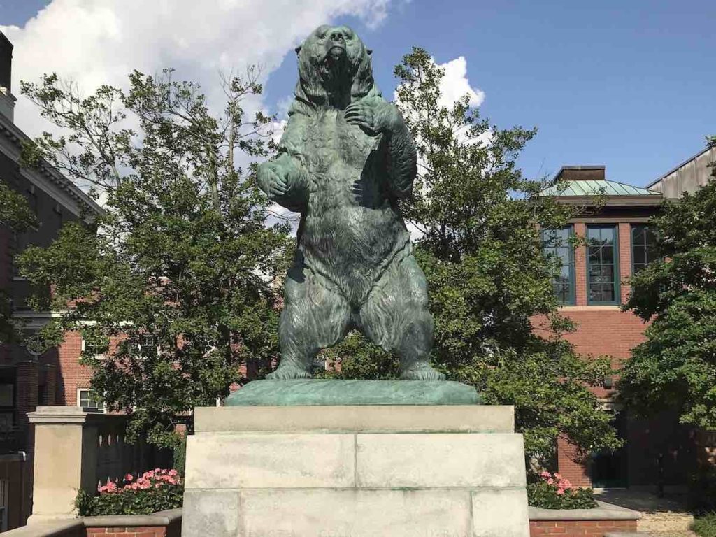 Brown University Mascot