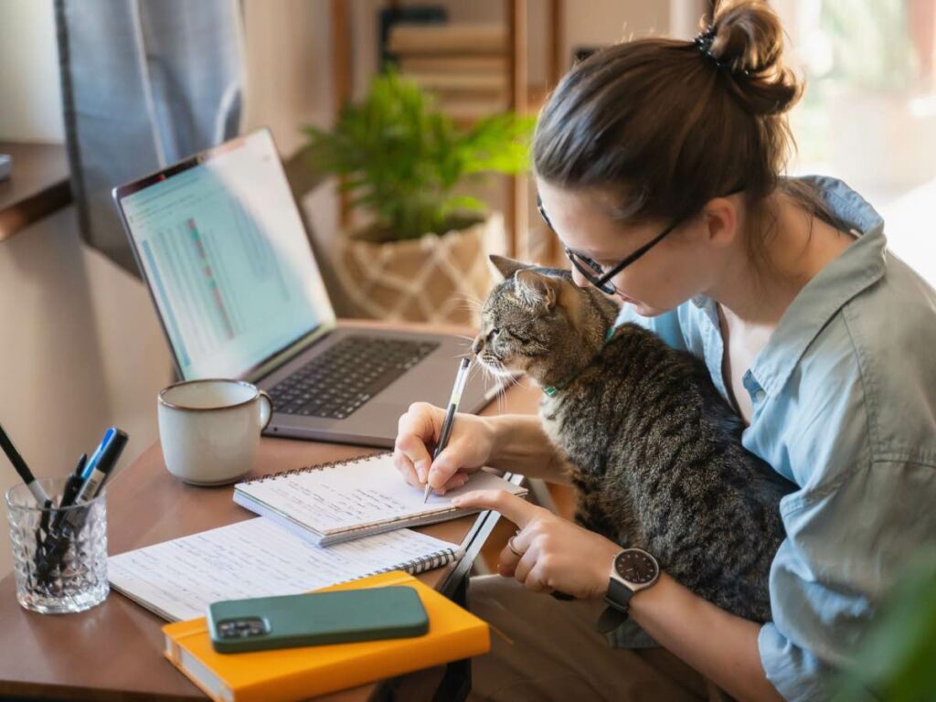 cat in dorm