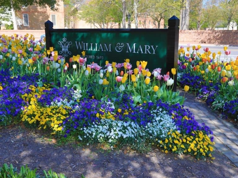 Is William & Mary an Ivy League School?