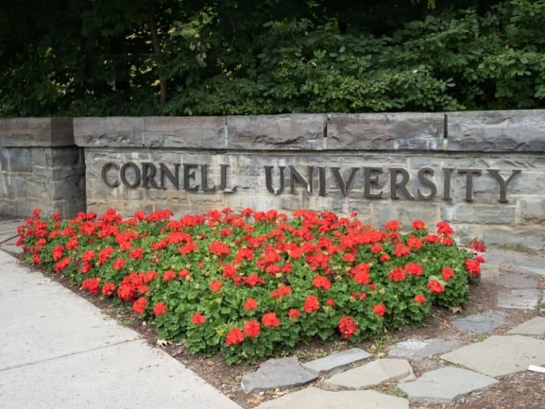 What Makes Cornell Unique?