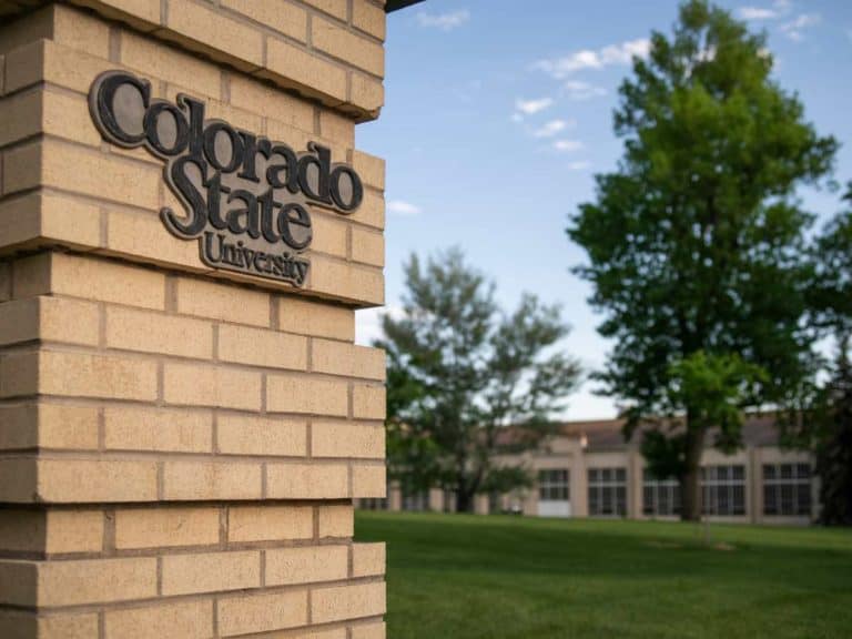 Is Colorado State University-Global Campus a Good School?