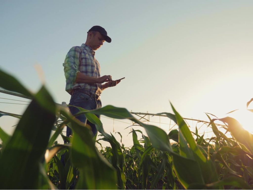 farmer