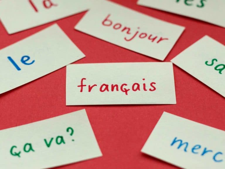 Who You Should Major in French