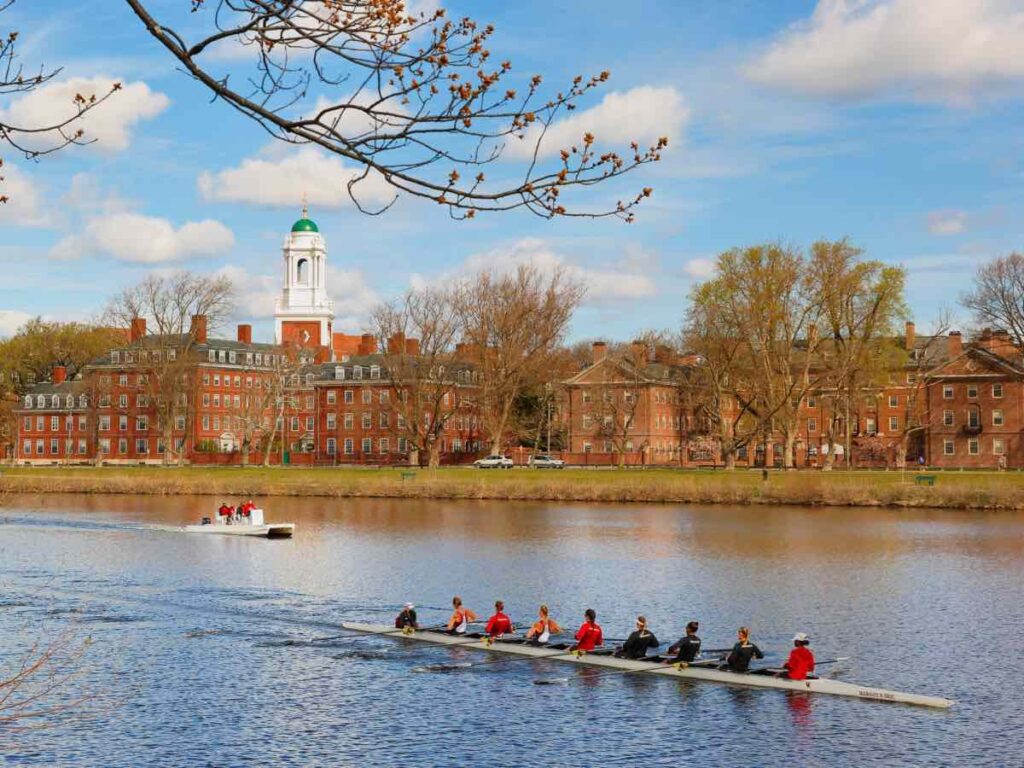 Harvard University