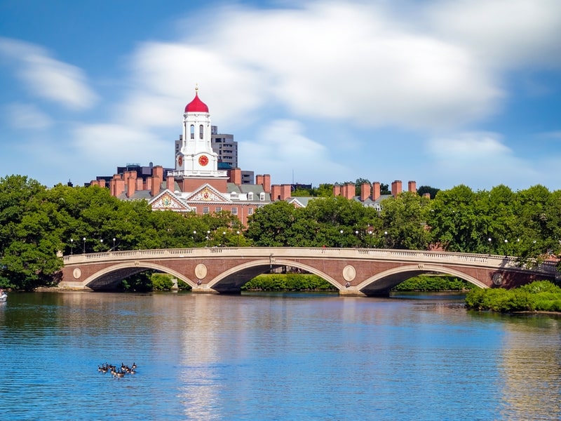 harvard university