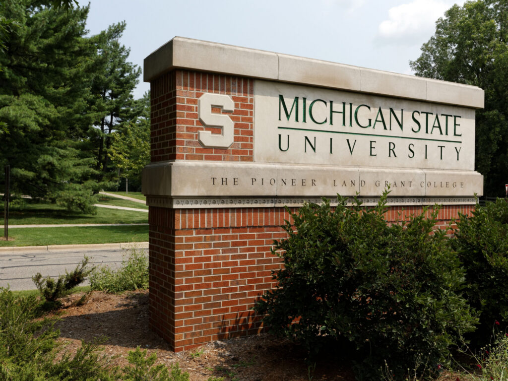 Michigan state university