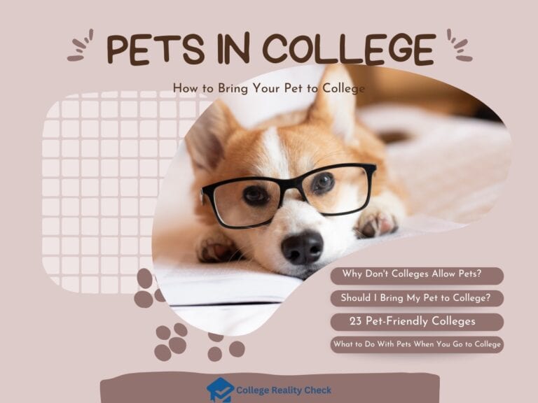 All You Need to Know About Bringing Your Pet to College