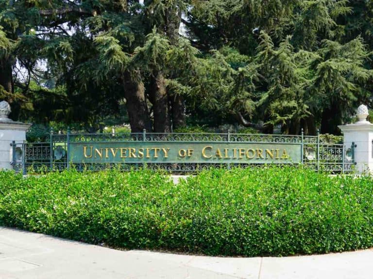 Top 10 Public Universities in the USA