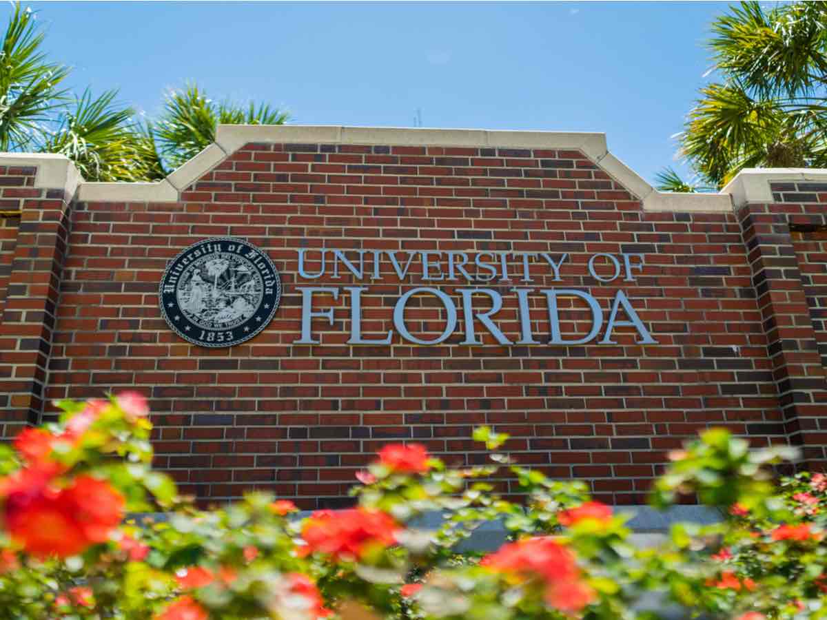 Is The University Of Florida Online A Good School? – College Reality Check