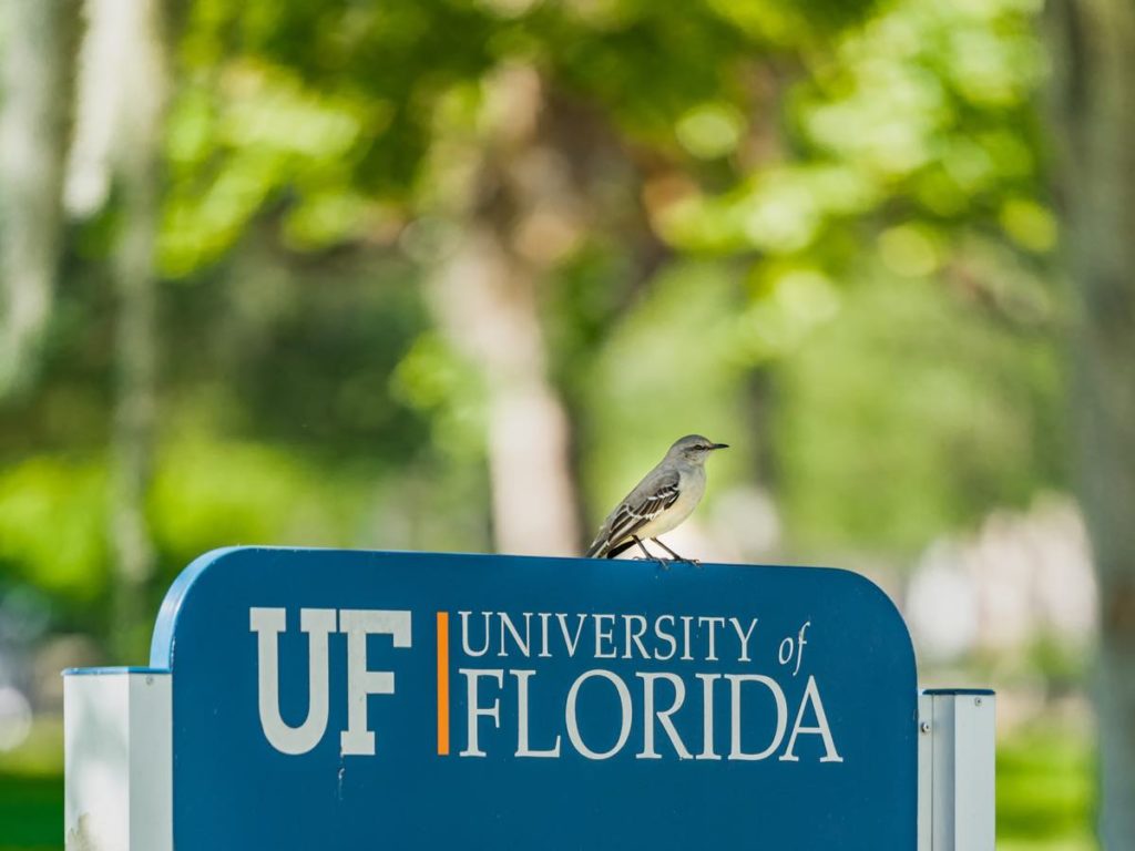 university of florida