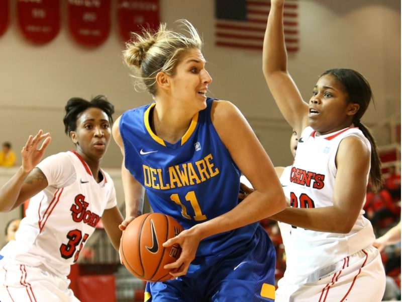 Delaware Blue Hens