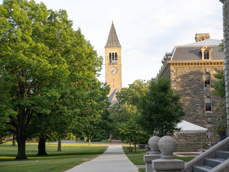 Cornell University