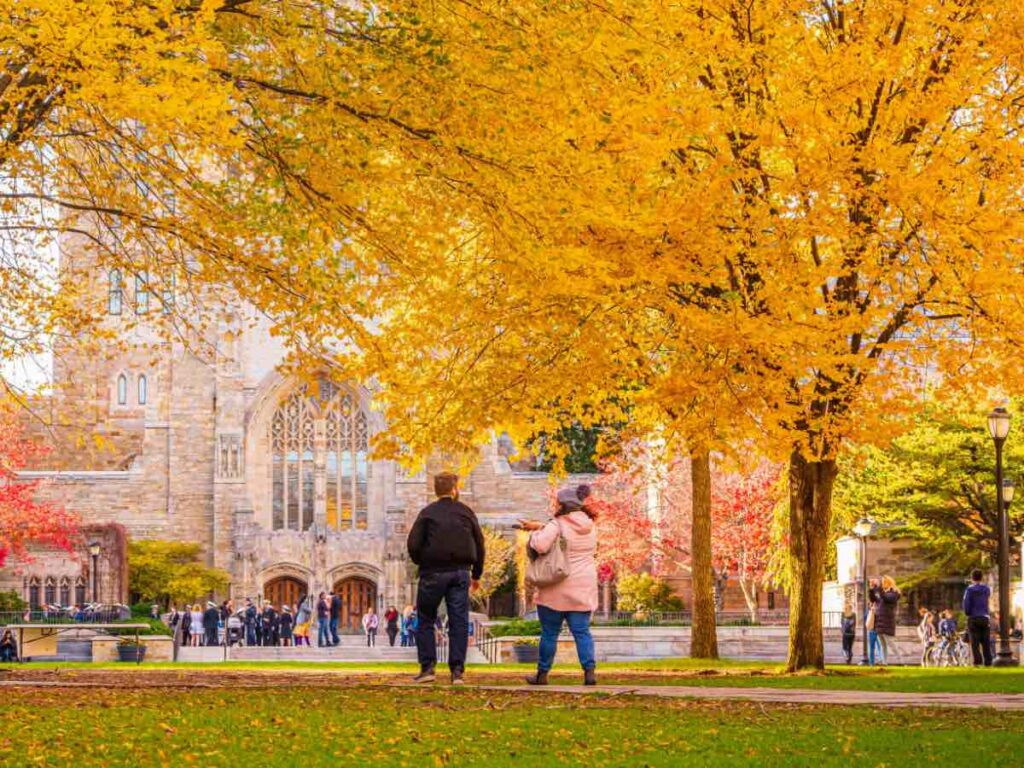 Sterling Memorial Library at Yale University